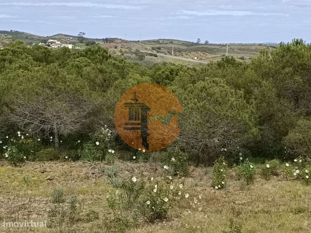 TERRENO RUSTICO COM 5.920 M2 - PRÓXIMO DO PIÇARRAL - CASTRO MARIM -... - Grande imagem: 3/36