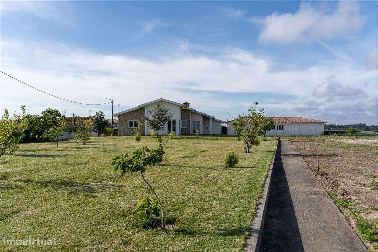 Quintinha junto à ria de Ovar-15