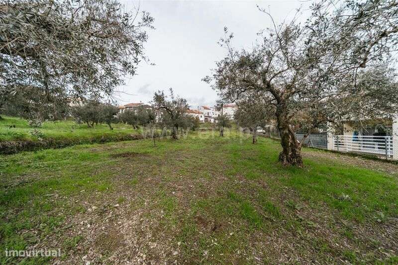 Lote / Covilhã, Barco e Coutada - Grande imagem: 4/9