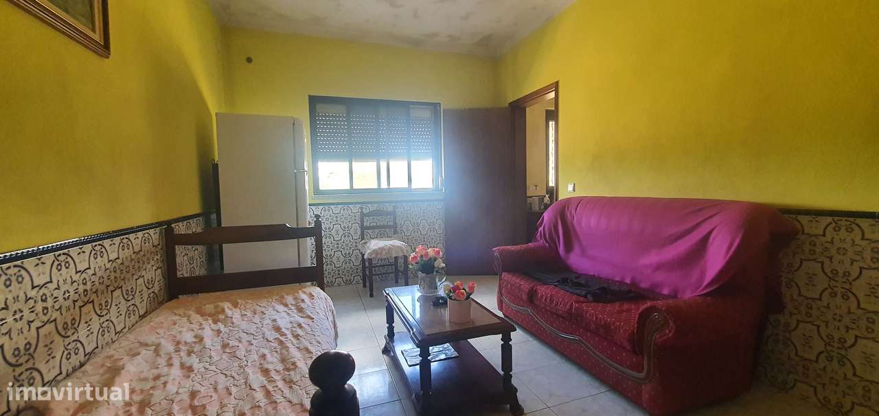 Quinta  5000m2 Viver no Campo Com a Cidade Por Perto Passil Alcochete-29