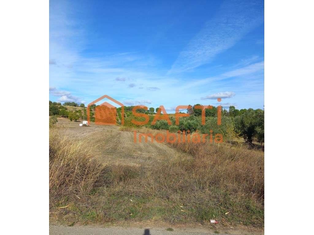 Vende-se Terreno Rústico em Tomar - Grande imagem: 4/6