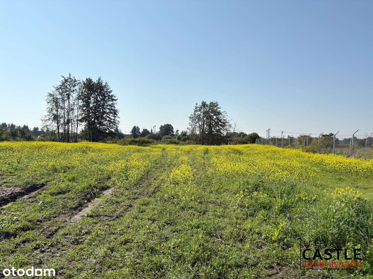 Duży teren inwestycyjny  pod halę lub centrum logistyczne-4