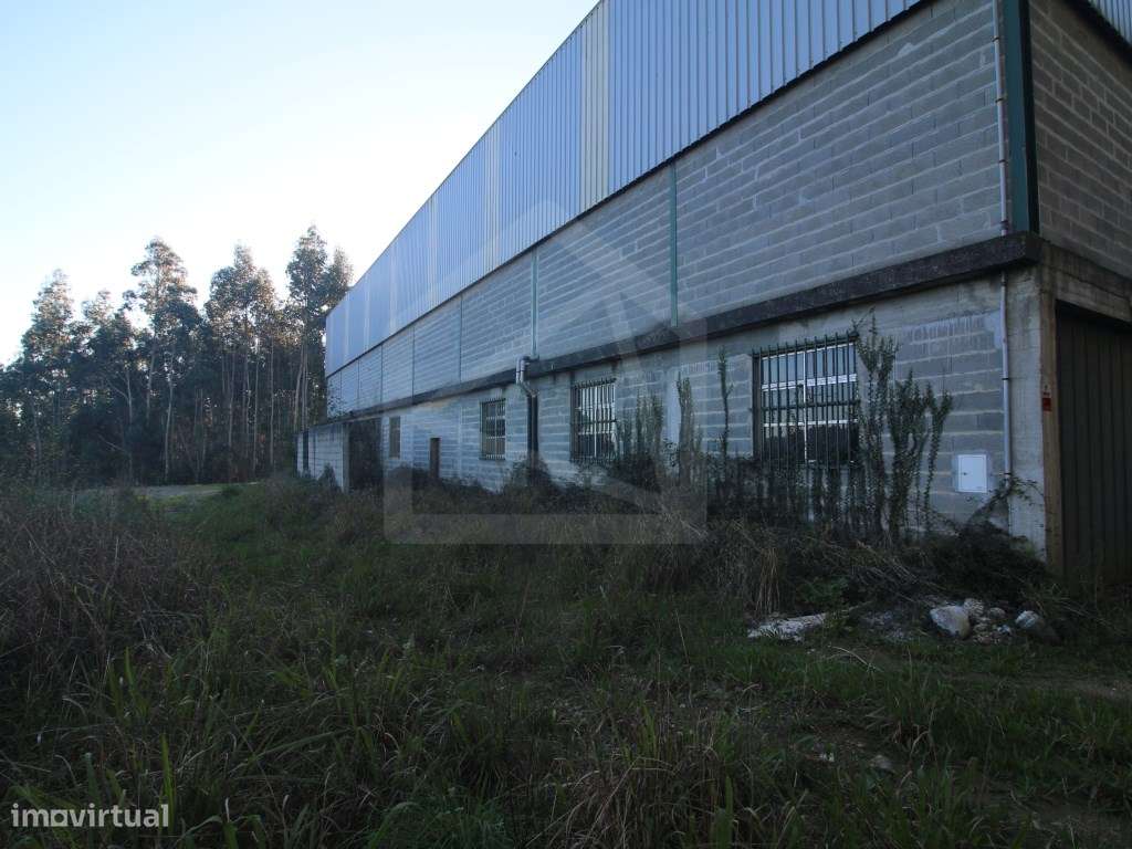 Armazém em Sever do Vouga - Grande imagem: 2/16