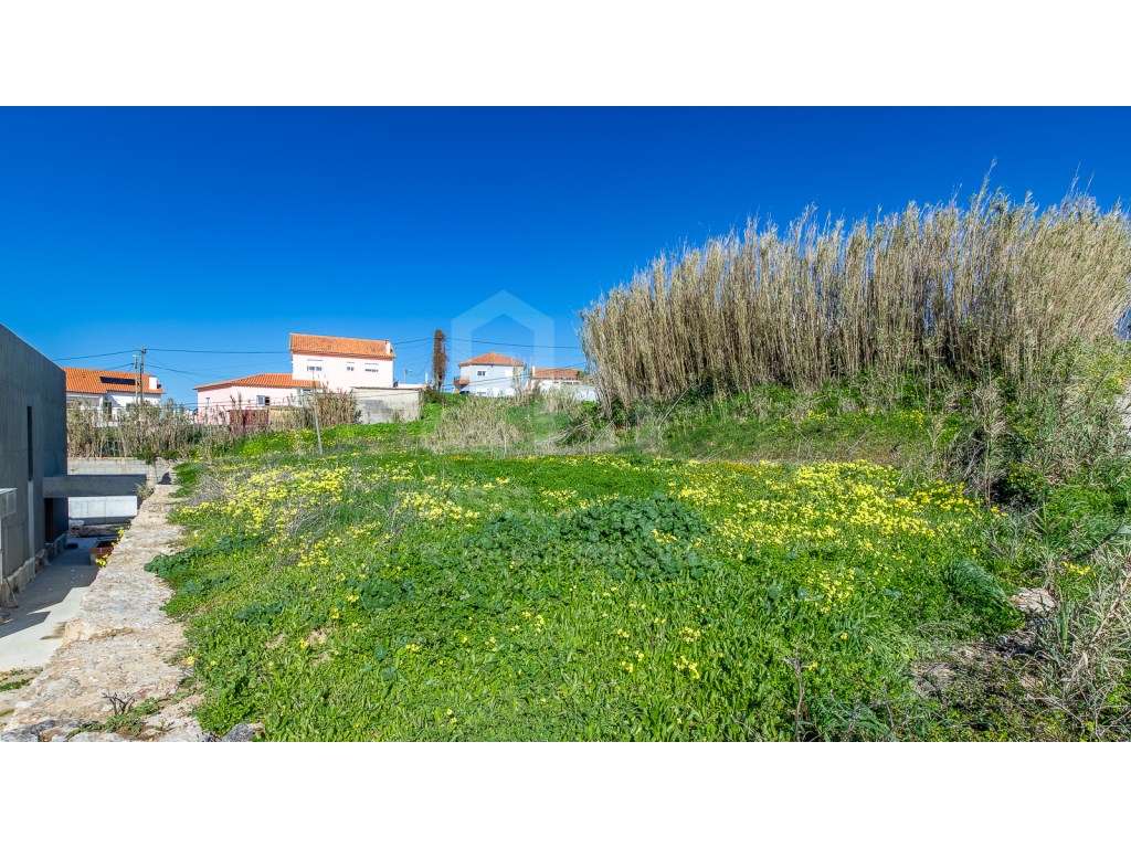 Vende Terreno - Ericeira 2 km, A Casa das Casas - Grande imagem: 3/25