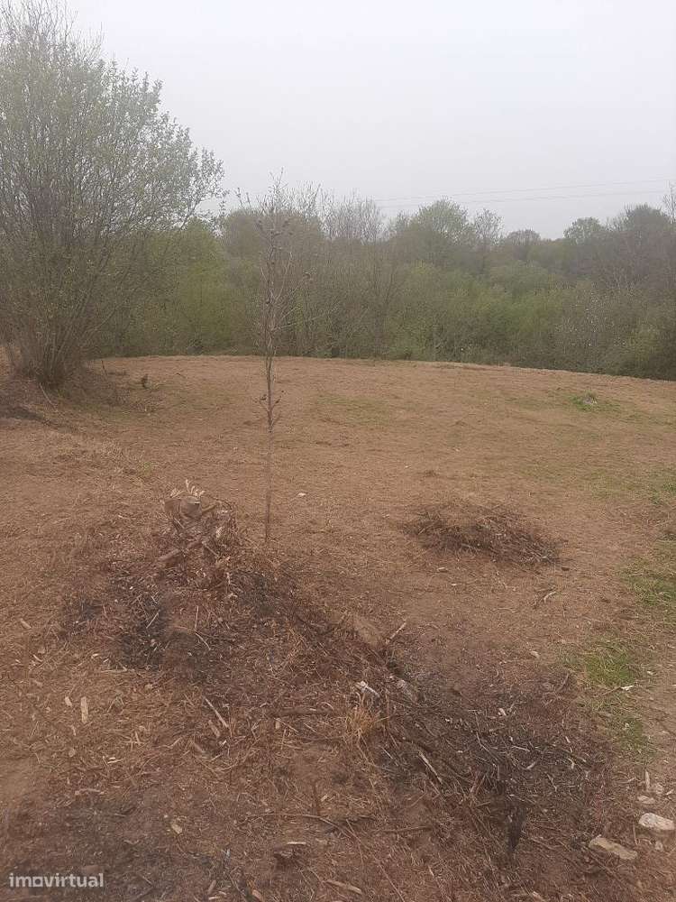 Terreno com 1.800m2 para construção de uma moradia. - Grande imagem: 4/5