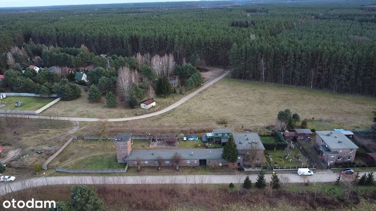 4 niezależne lokale nieopodal lasu i jeziora-6