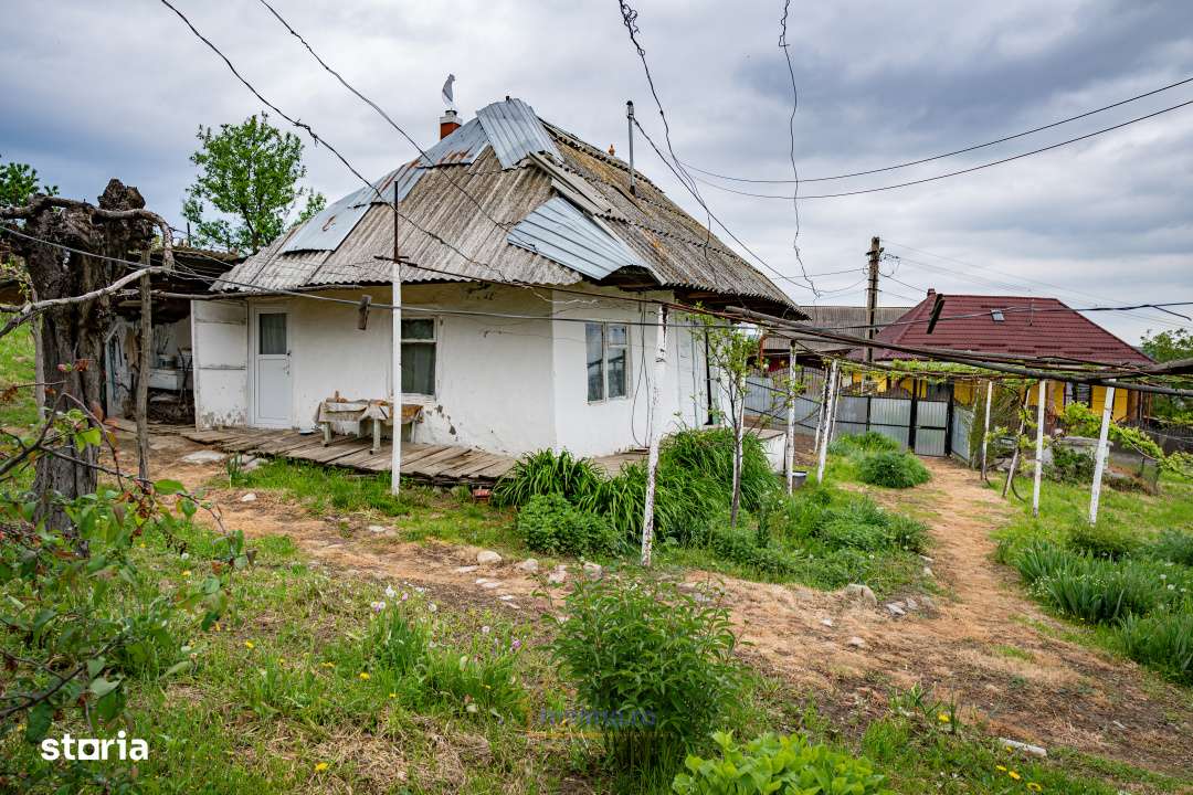 Casa din chirpici, bucatarie de vara si 1.34 ha de teren, Ardeoani-5