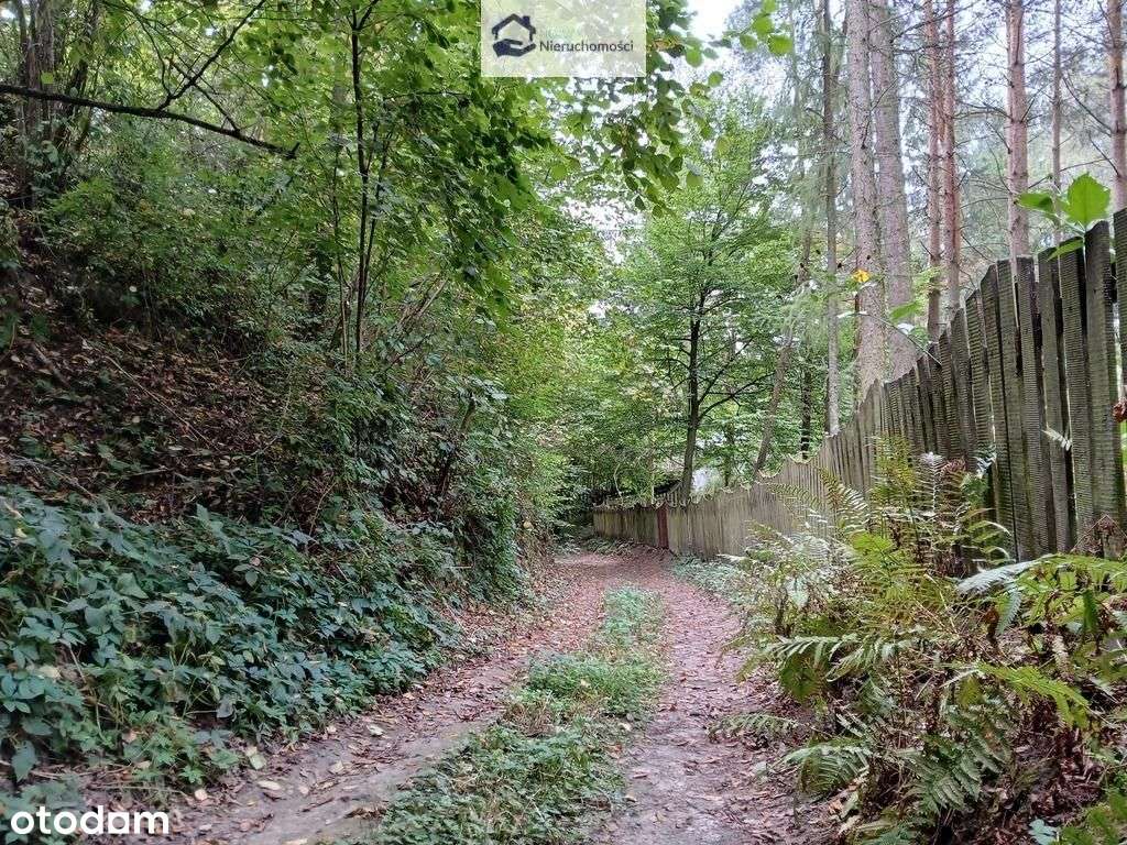 rekreacyjna *Wz dom letniskowy *Gmina Wojciechów-3