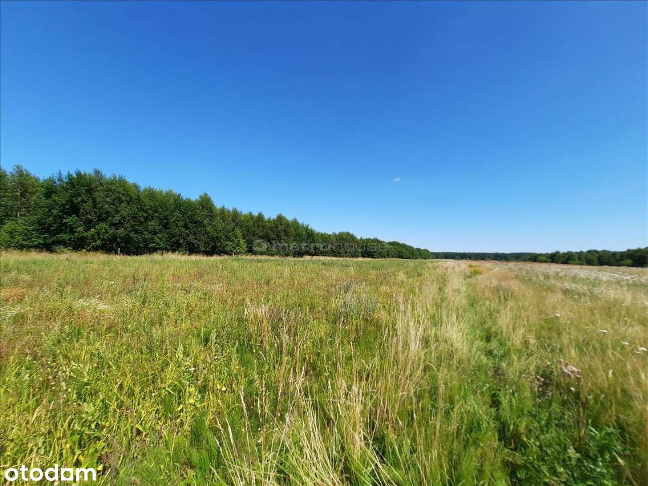 Działka 11 a, blisko jeziora Jamno. - Pełny obrazek: 5/11