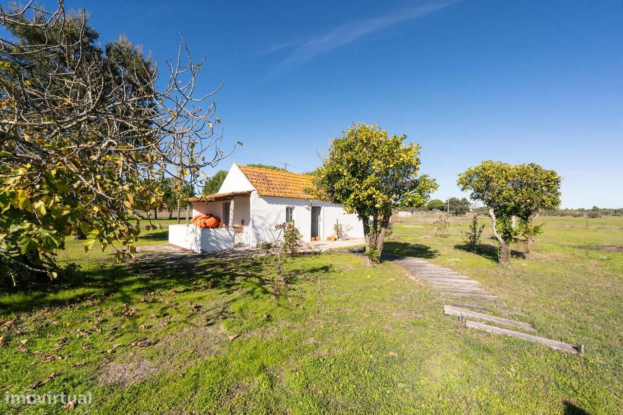 Terreno Misto 1.2 ha, Grandola - Grande imagem: 4/26