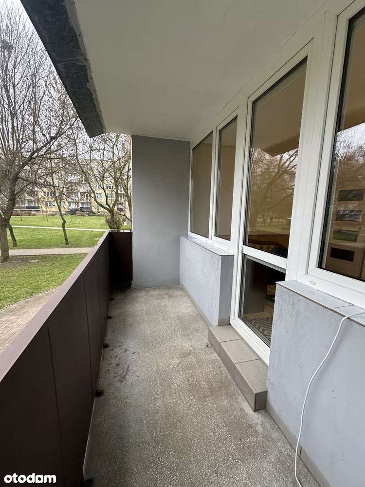 3 pokoje, Tysiąclecie, Obrońców Westerplatte - Pełny obrazek: 3/13