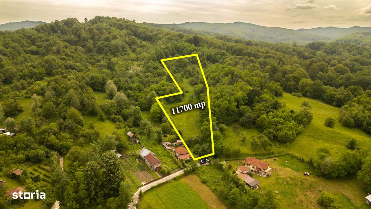 Teren 11700 mp în Valea Lungă, o oază de liniște, aer curat, verdeață - Imagine principală: 1/4