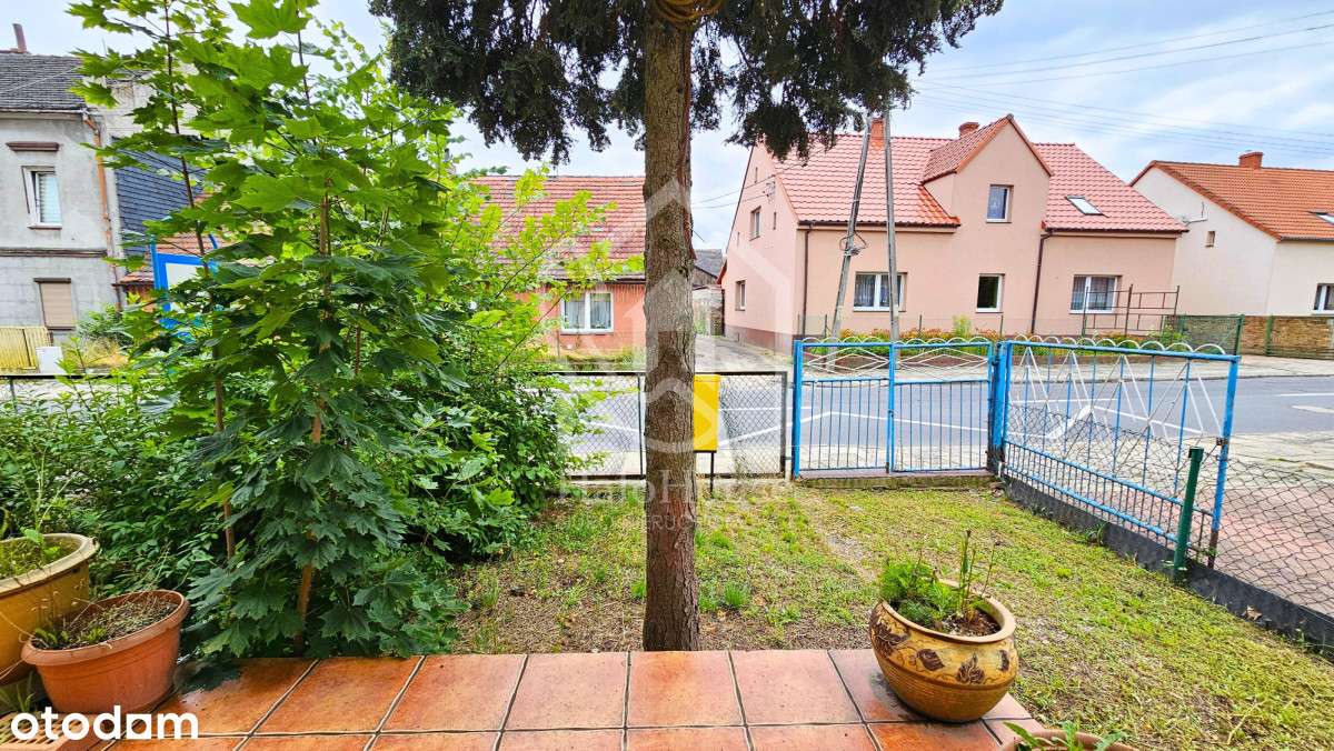 2 Pokoje | Parter | Gotowe do zamieszkania | - Pełny obrazek: 5/13