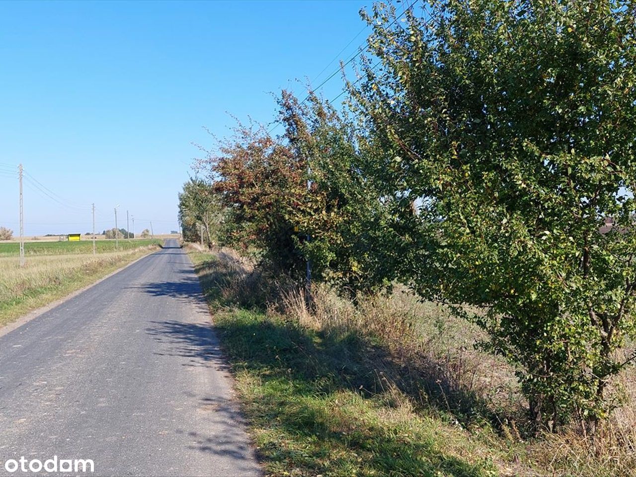 Nieruchomość w pobliżu Motoareny w Toruniu.