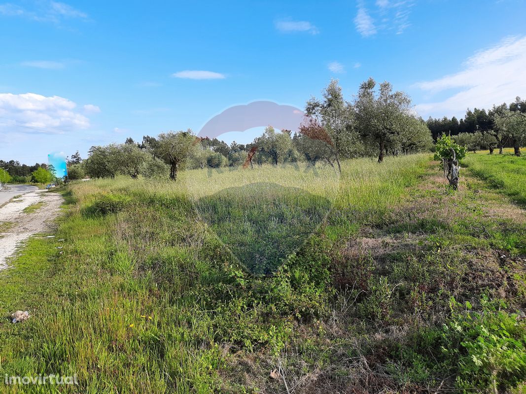 Terreno  para venda