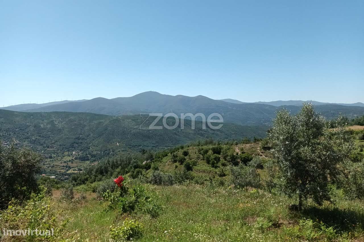 Vende-se terreno Rustico - Grande imagem: 5/6