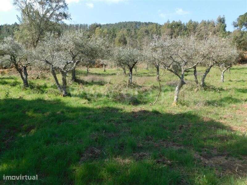 Terreno / Fundão, Souto da Casa - Grande imagem: 2/12