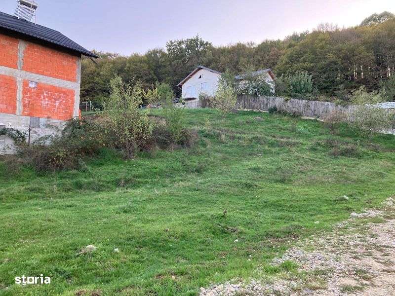 Teren intravilan 600mp utilitati Bascov langa padure - Imagine principală: 4/7