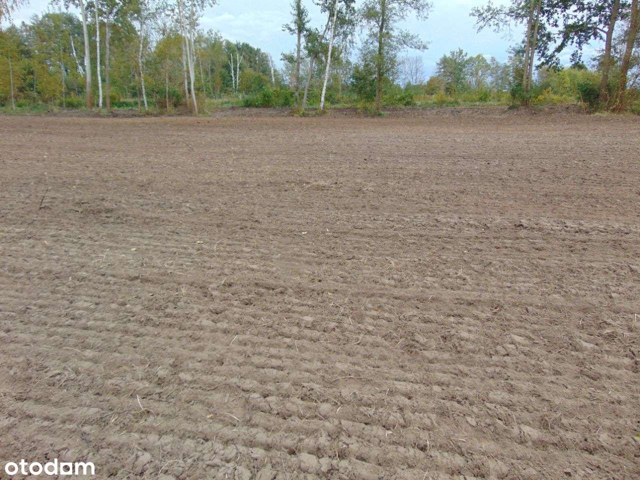 Działka bud.usł. Zielona Góra 1000/1210 m2 197, 50-4