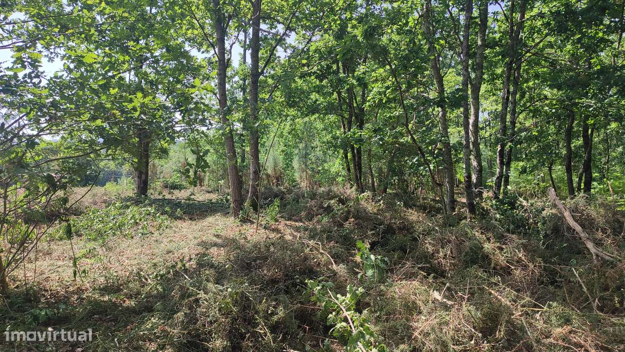 Terreno em Fiscal, Amares-14