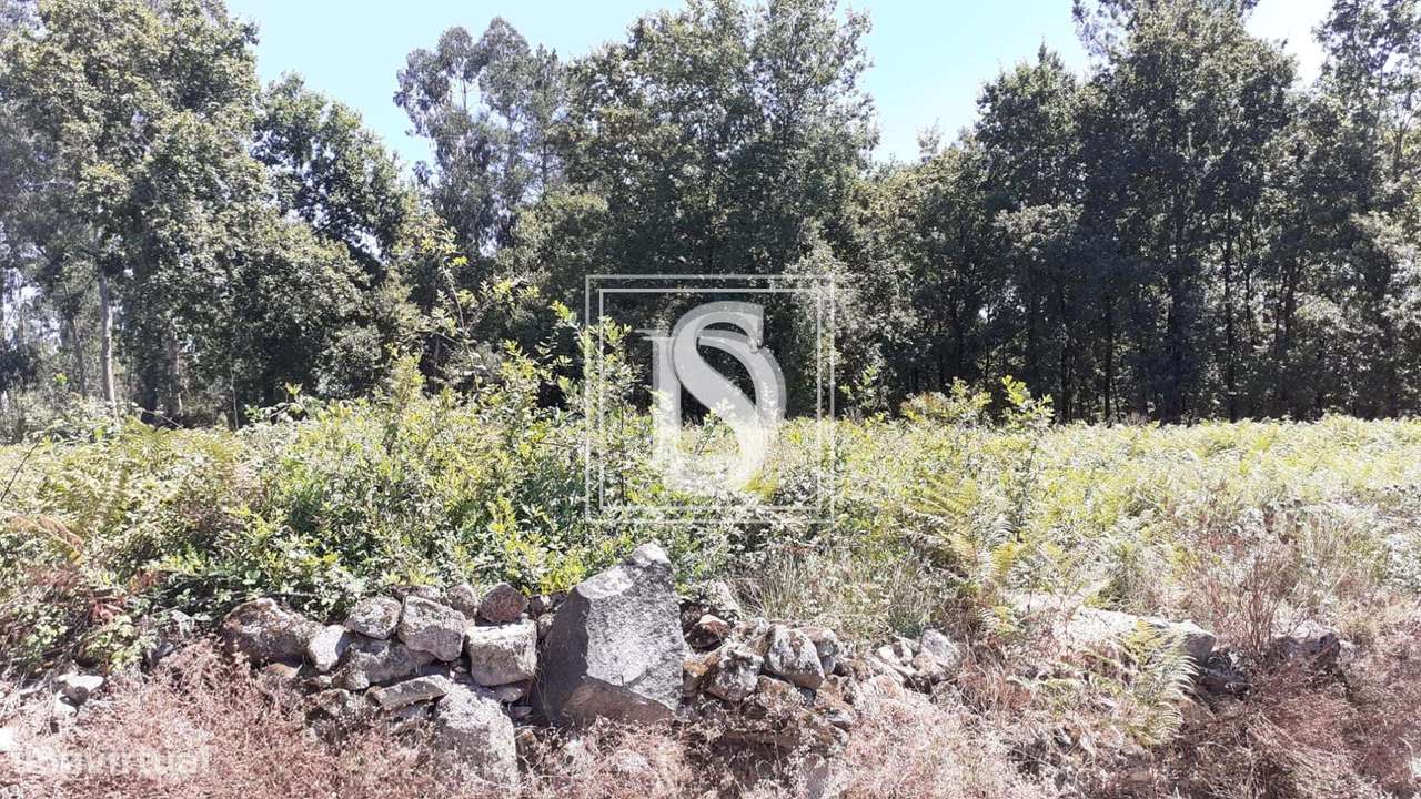 Terreno Não definido em Ucha - Grande imagem: 5/6