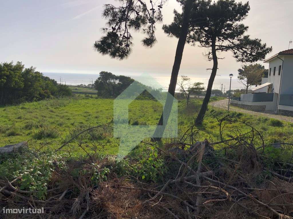 Terreno rústico em Moledo e Cristelo, Caminha. - Grande imagem: 3/12