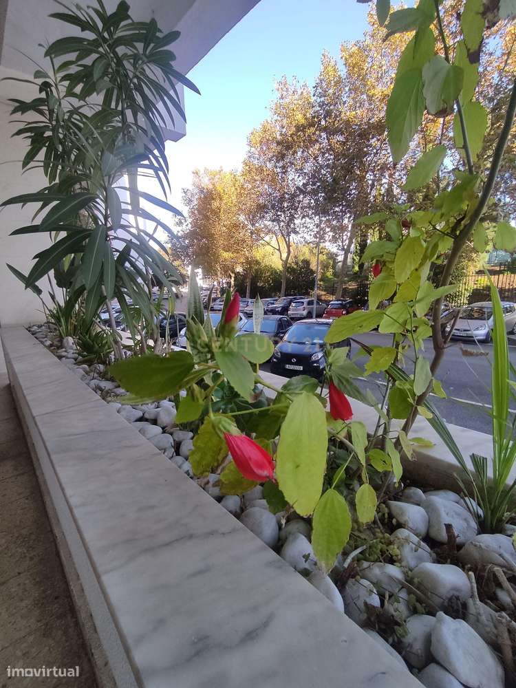 Apartamento T2 em Carnaxide  com Garagem e Boa Exposição Solar - Grande imagem: 4/26