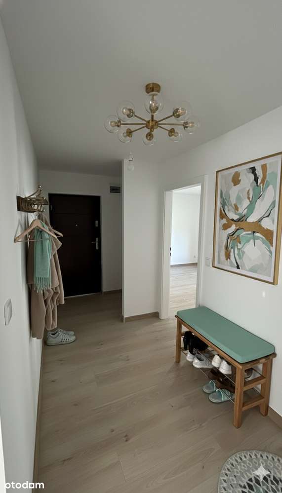 Przestronne jasne mieszkanie w ścisłym centrum 51,70m2 na parterze - Pełny obrazek: 4/17