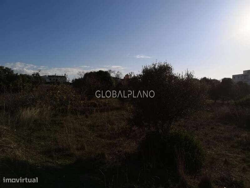 Lote de terreno com 7900m2 Vale de França/Portimão - Grande imagem: 2/6