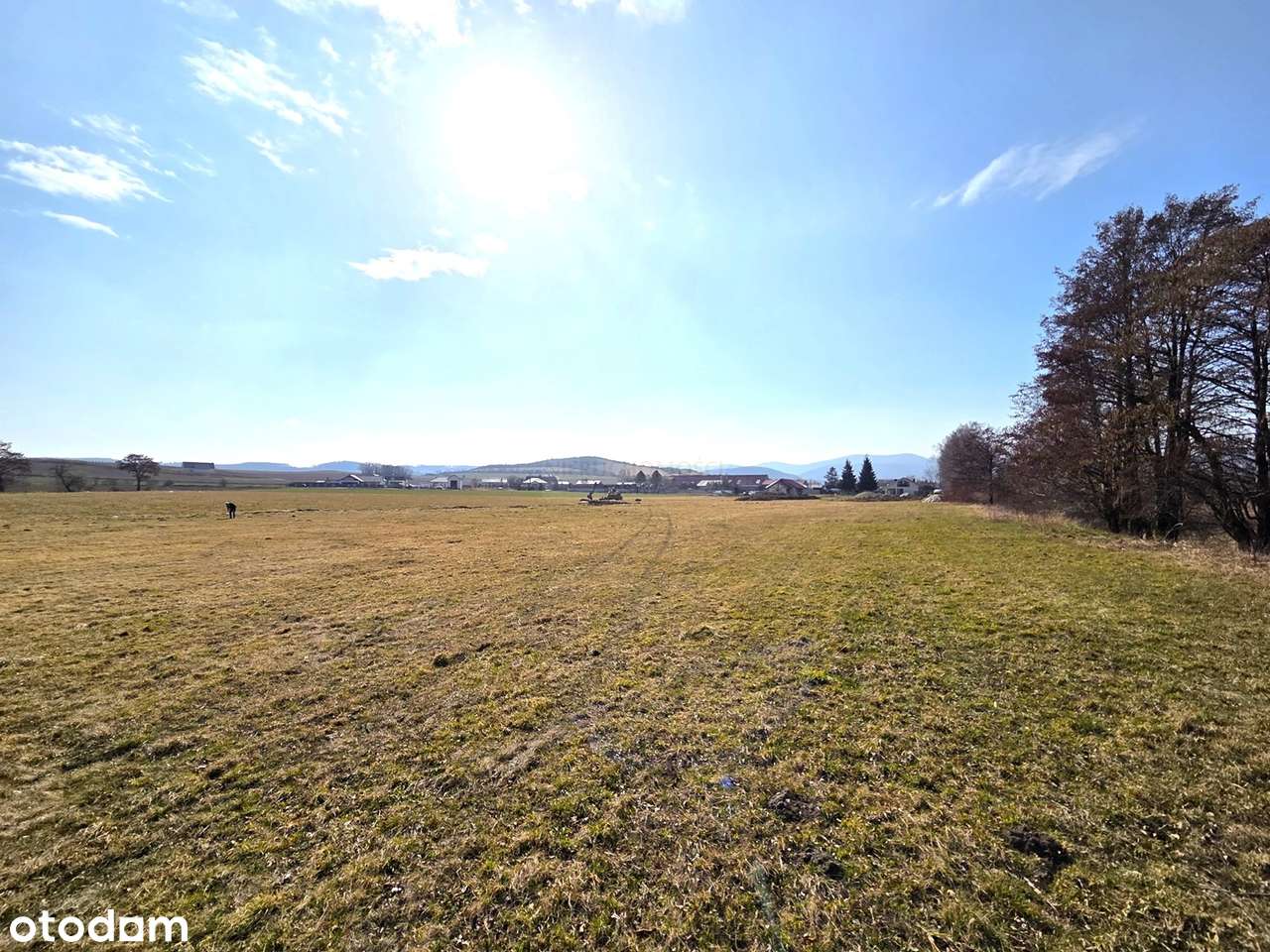 Działka budowlana w Bielawie!-0