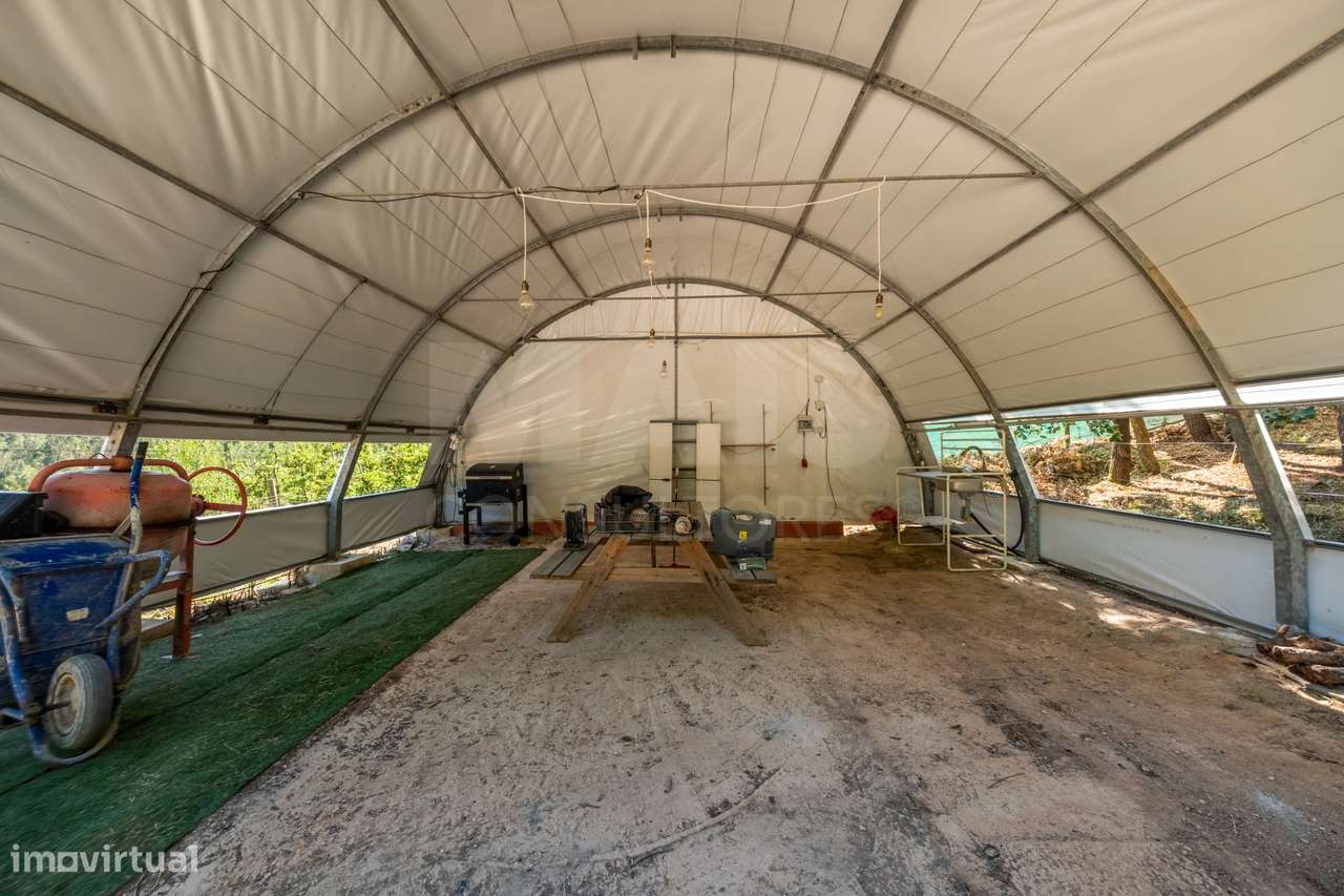Terreno Agrícola na Fanadia | 16.100 m² de Potencial e Infraestrutu...-6