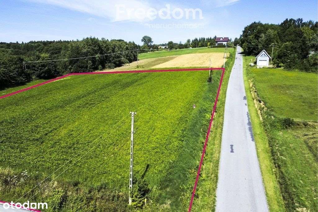 Działka 49 ar pod siedlisko, prąd i gaz na miejscu - Pełny obrazek: 2/11
