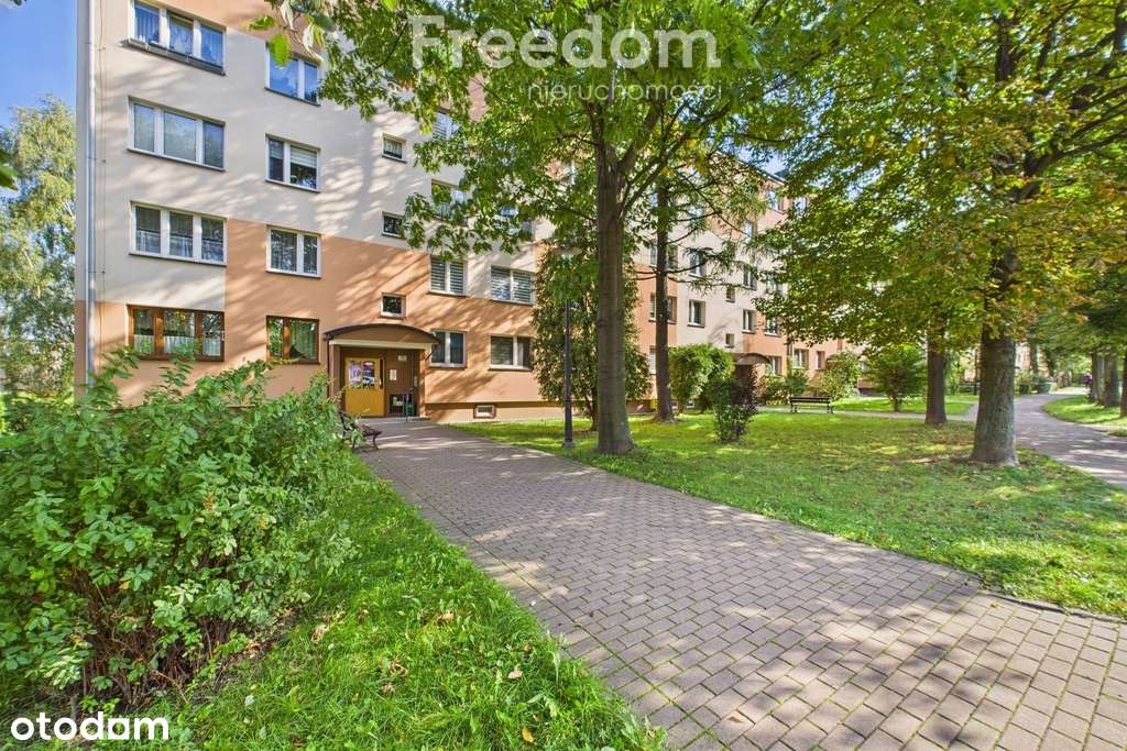 Zapraszam na Dzień Otwarty 16 stycznia! - Pełny obrazek: 2/20