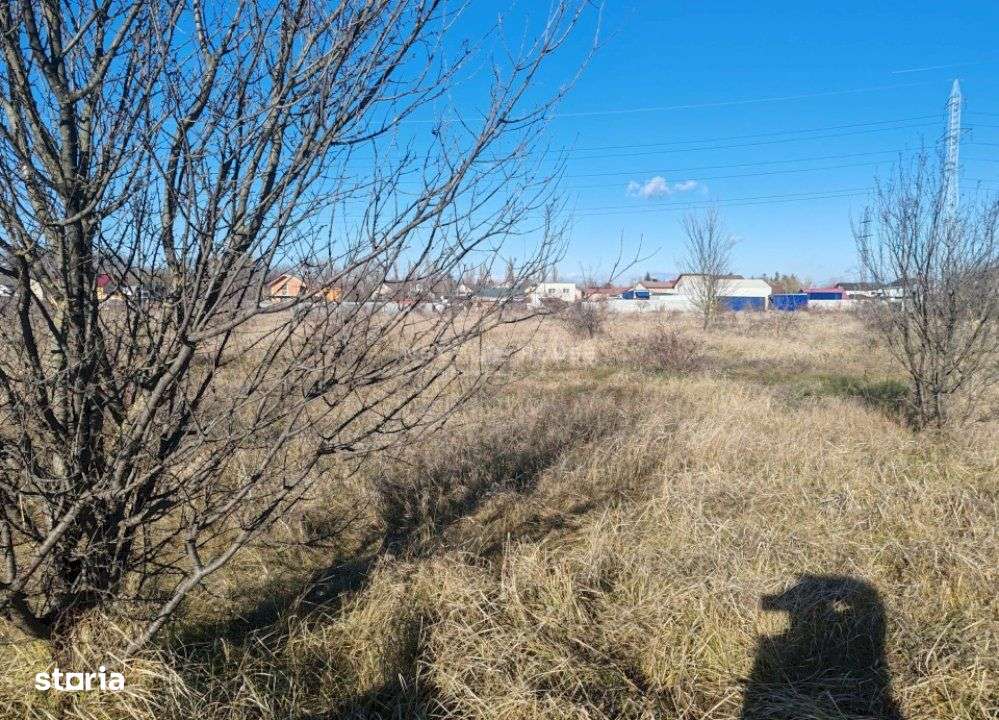 Teren Joita -  Bacu - Dragomiresti-4