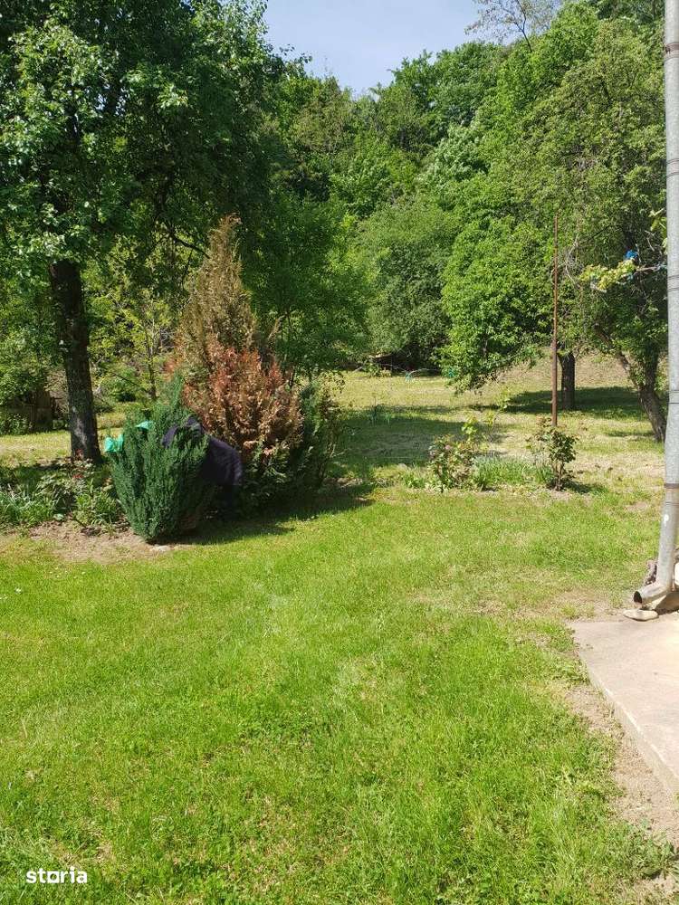 Vila P+E cu teren 2559 mp, vie, garaj, izvor - Borosteni, Gorj - Imagine principală: 3/19