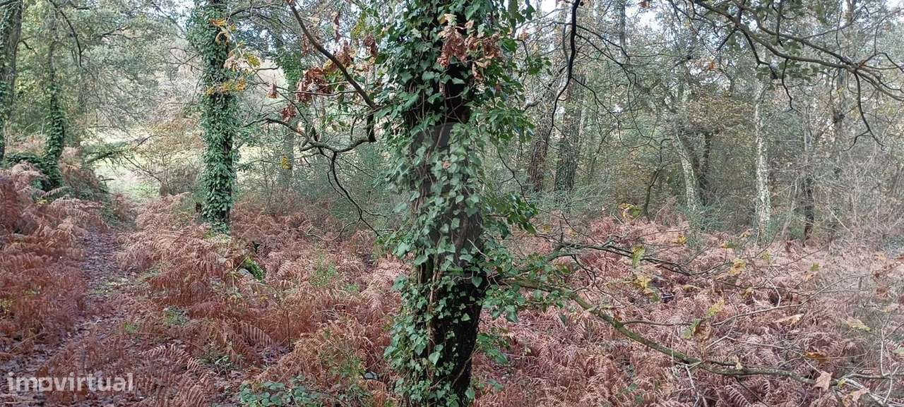 Terreno  para venda - Grande imagem: 2/7