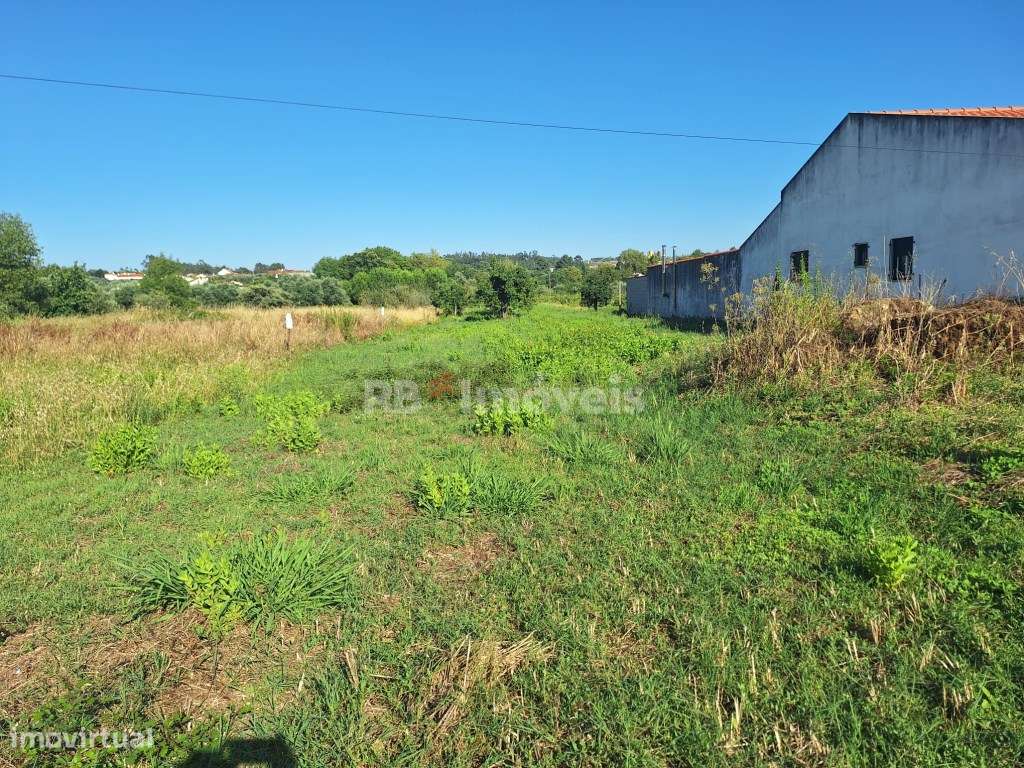 Terreno rústico com PDM - Casal dos Tomazes, Tomar - Grande imagem: 3/4