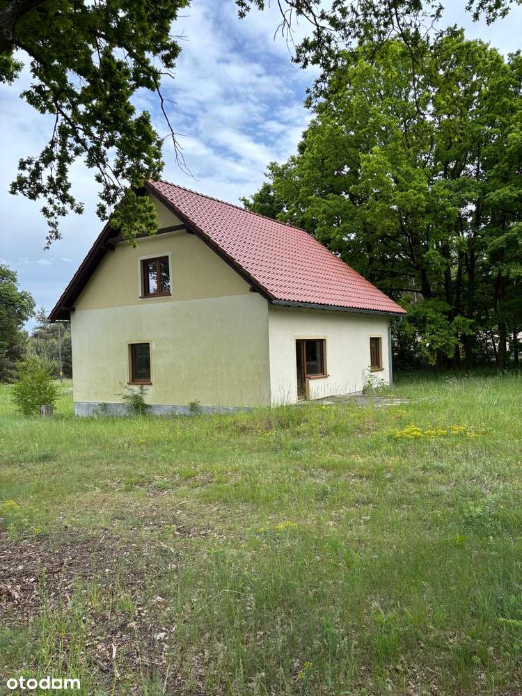 Sprzedam Dom w Zimnej Brzeźnicy - Pełny obrazek: 4/10