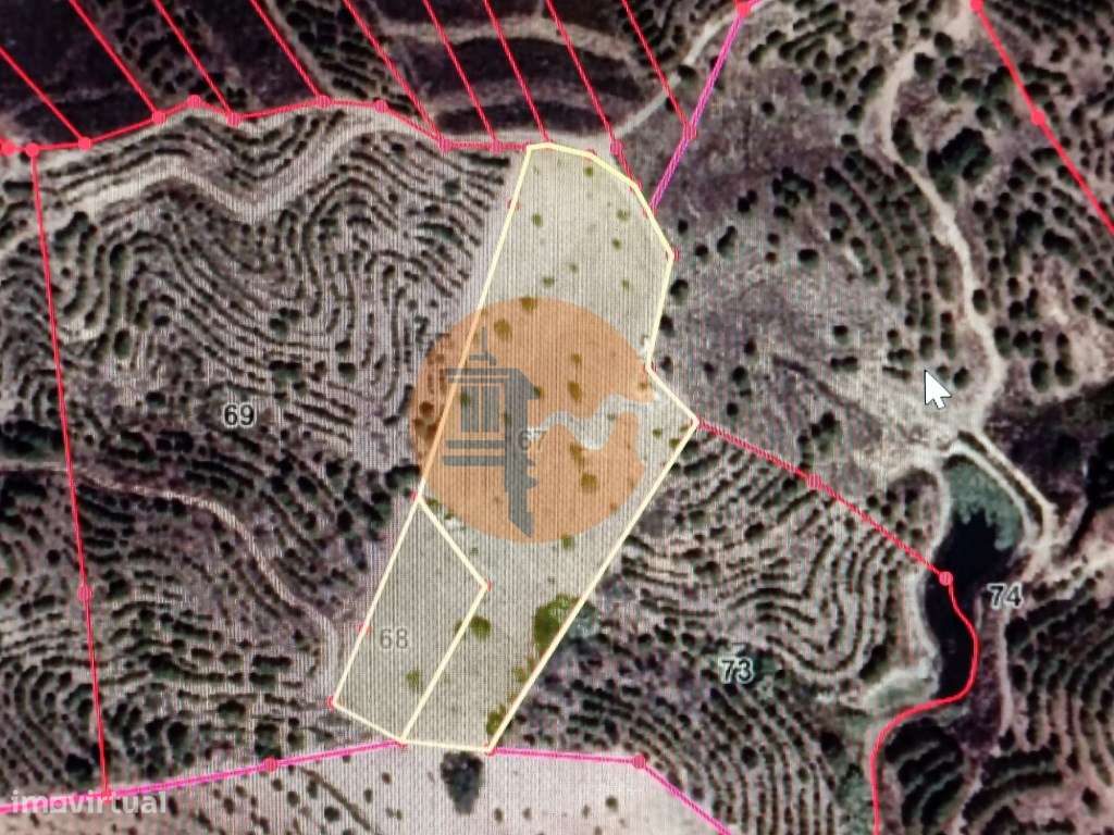 TERRENO COM 11.360 M2 - ALCARIAS GRANDES - AZINHAL - CASTRO MARIM -... - Grande imagem: 2/27