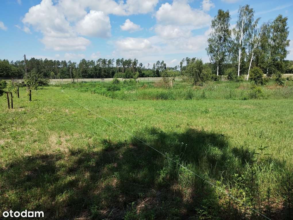 Sprzedam działkę pod budowę 45min od Warszawy-5