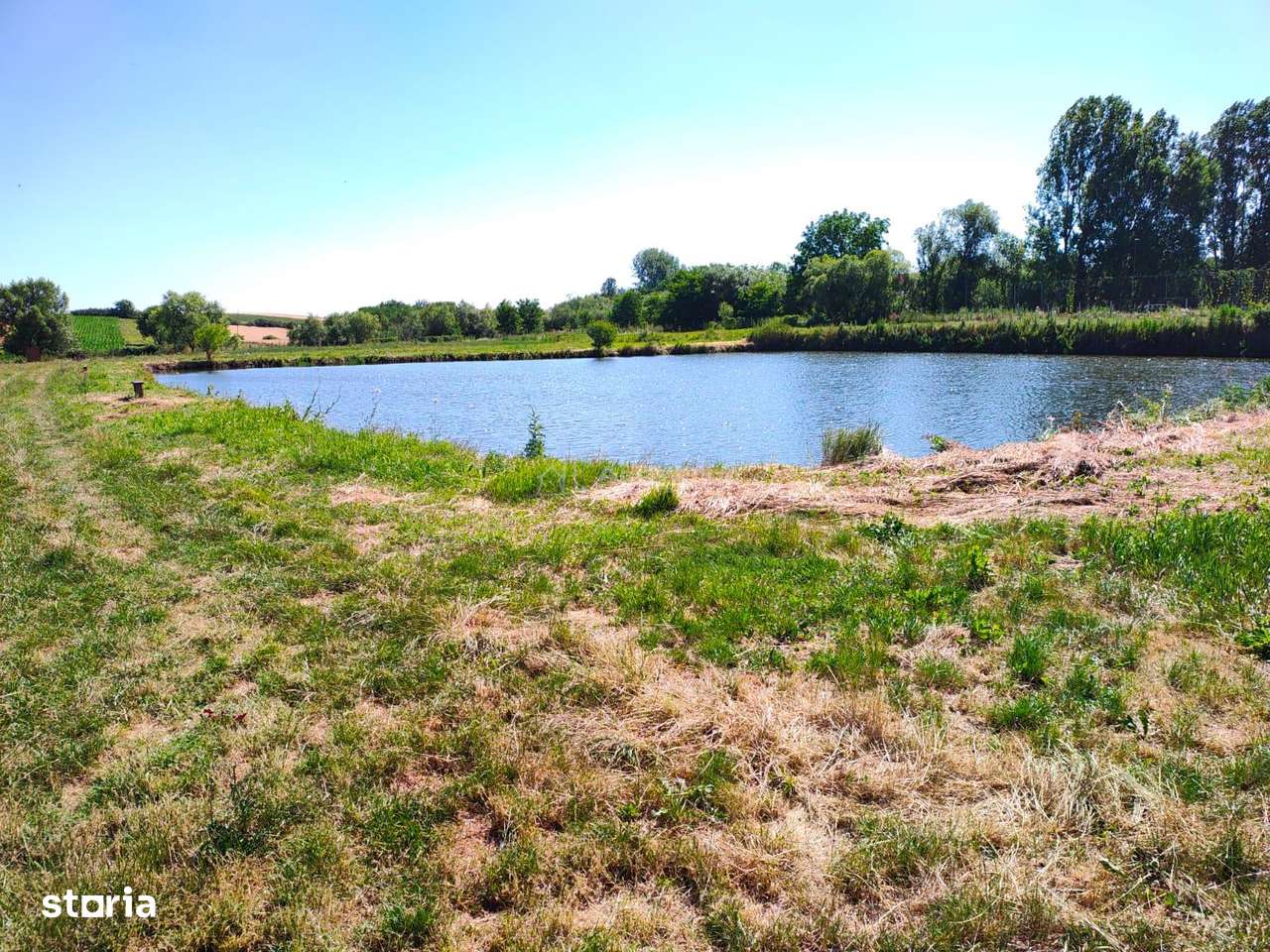 Teren 18.247 mp cu balta de pescuit – Misca, Comuna Chislaz, Bihor - Imagine principală: 4/11