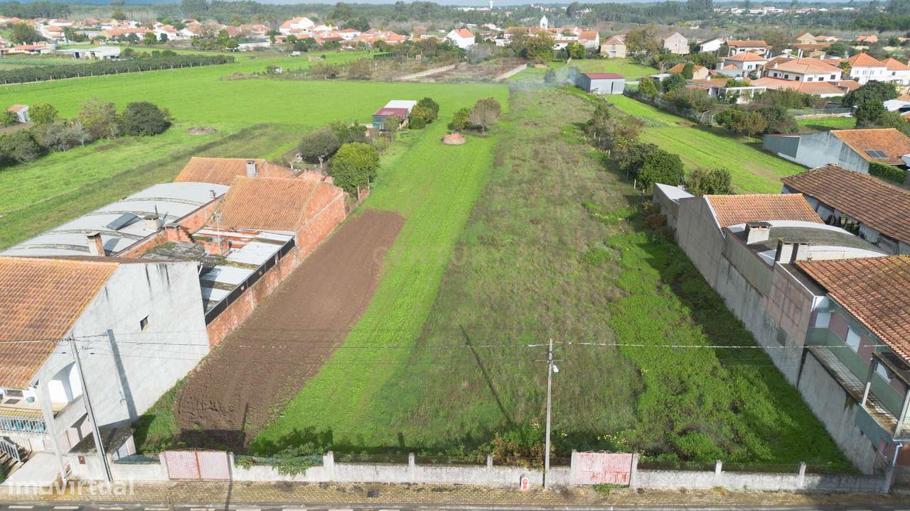 Terreno para Construção em Bolho,  Cantanhede - Grande imagem: 5/13