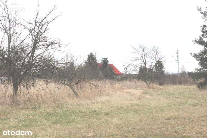 Działka, 7 779 m², Bukowice - Pełny obrazek: 3/3