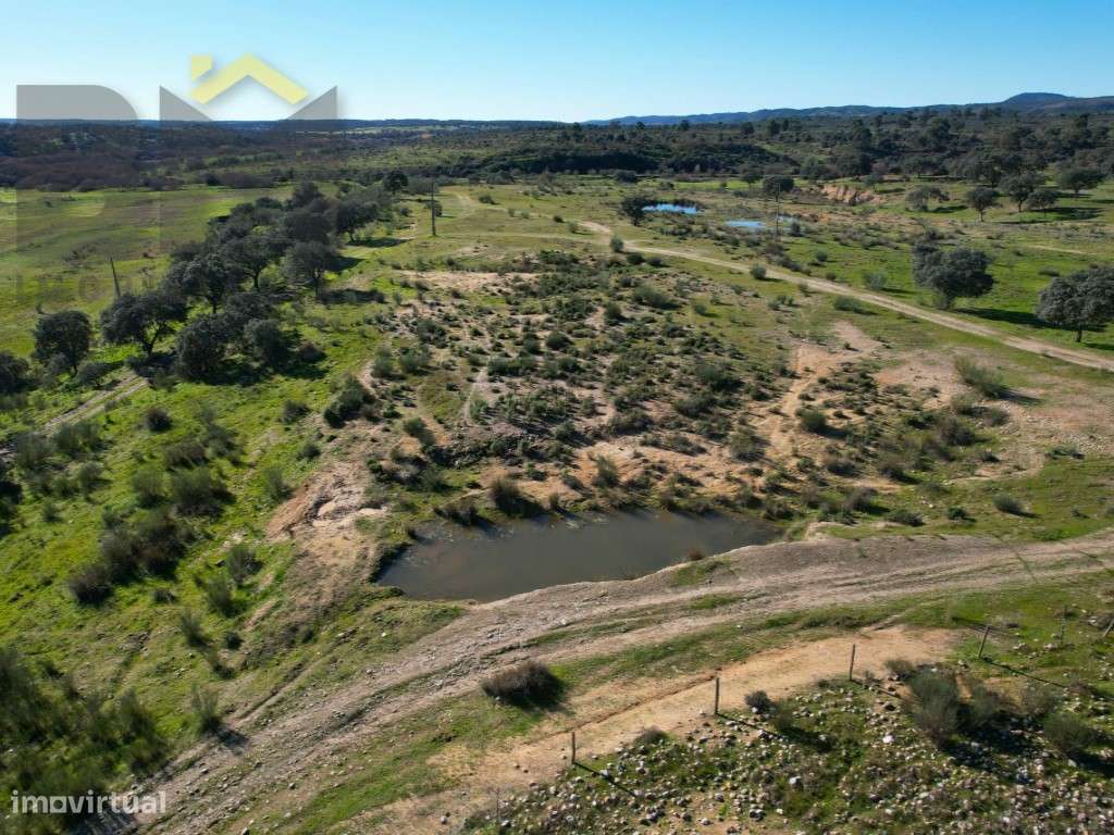 Propriedade com 16.6 hectares à beira do rio Ponsul - Grande imagem: 4/52