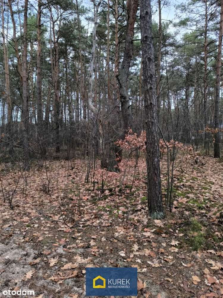 Działka budowlana Józefów rejon Granicznej-1