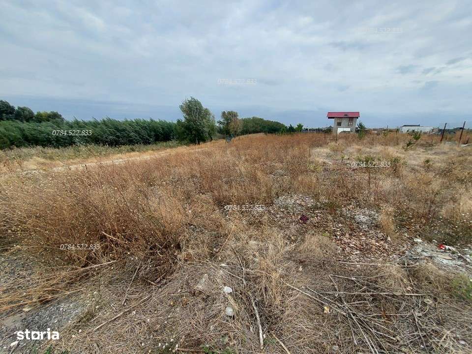 Teren intravilan 354 m² – deschidere mare, Berceni IF - Imagine principală: 2/4