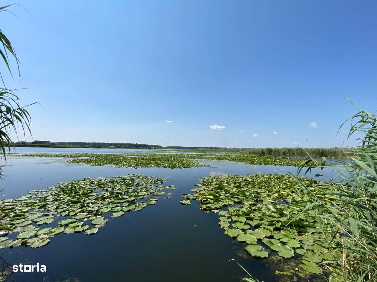 Teren intravilan 17 m deschidere Lac Silistea Snagovului - Imagine principală: 2/5