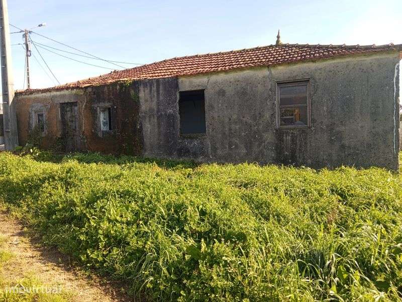 Para venda terreno com casa - Grande imagem: 4/8