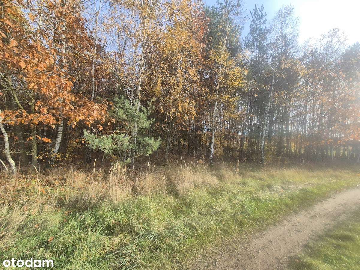 Na sprzedaż działka – Łochynia, gmina Mykanów-7