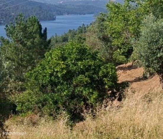 Moradias ruínas vista rio Castelo de Bode - Grande imagem: 4/4